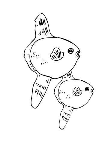 Two Sunfishes Coloring Page